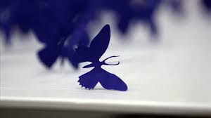 We did not find results for: Artist Profile Paul Villinski Youtube