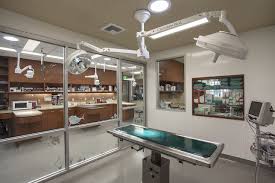 Veterinary Hospital Design Animal Shelter Design Hospital Design Shelter Design Veterinary Hospital