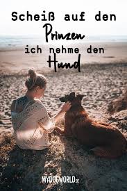 Das ist der grundunterschied zwischen hund und mensch. 35 Coole Hunde Spruche Hunde Zitate Ideen Hund Zitat Hundespruche Hunde