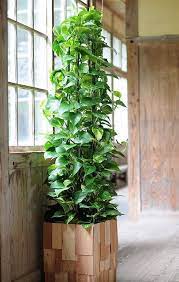 Our team has put a lot of effort for the selection of images by request backyard trellis ideas. Pin On Witchcraft 101