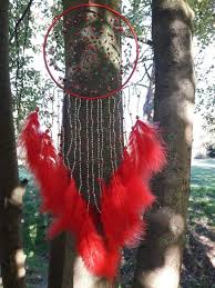 Red Coral Dream Catcher Protective Stone Evil Magic Magic Etsy In 2020 Dream Catcher Dream Catcher Craft Magical Stones