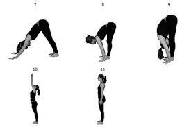 Although the most commonly known as vinyasa flow, there are many different styles of flow yoga. What Is Vinyasa Yoga History Elements Characteristics Arhanta Blog