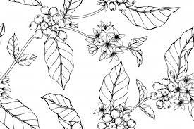 Seamless Coffee Flower Pattern Backgroun Premium Vector Freepik Vector Background Pattern Flower Coffee Flower Color Pencil Illustration Leaf Drawing