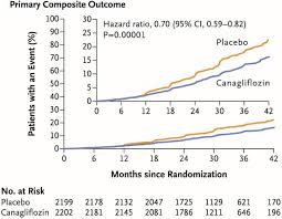 Sglt2 Inhibitors Slowing Of Chronic Kidney Disease Progression In Type 2 Diabetes Springerlink