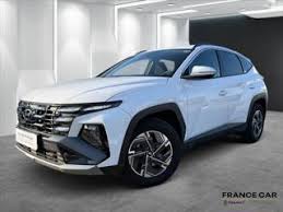 Image result for Polar White 1979 Hyundai