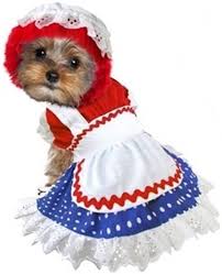 raggedy ragdoll girl dog costume the brightest star