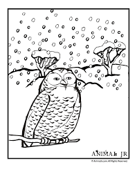 These alphabet coloring sheets will help little ones identify uppercase and lowercase versions of each letter. 21 Preschool Winter Animals Coloring Pages