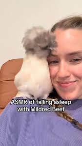 Did you know chickens purr when they are happy?