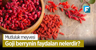 Goji Berrynin Kurt Uzumu Faydalari Nelerdir Saglikli Yemek Tarifleri Berry