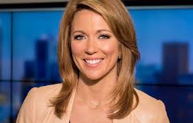 Baldwin gets the cnn salary in app and almost any show with $ 153 million dollars in 2016, annually. Brooke Baldwin Net Worth 2021 Age Height Weight Husband Kids Bio Wiki Wealthy Persons