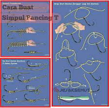 (fast current or with sinkers) ketika kita memancing di arus yang deras, kita memerlukan batu pemberat untuk umpan ikan hidup itu berada di tahap kedalaman yang kita tentukan. Lengkap Gambar Cara Membuat Rangkain Pancing Simpul T Jejaksemut