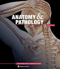 anatomy pathology the worlds best anatomical charts book by anatomical chart company