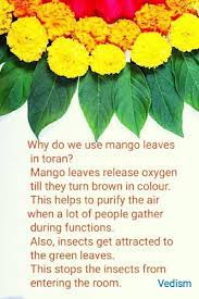 Pin By Sauji Krsna On Vedic Venkat India Facts Interesting Facts About World General Knowledge Facts