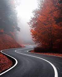 Jason Miller On Instagram The Road To Where You Belong Follow Jasonlife For More Follow Jasonli Beautiful Roads Instagram Nature