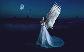 Night sky space lunar moon phases full moon half moon crescent moon. Wallpaper Beautiful Angel Girl Wings Night Moon 1920x1200 Hd Picture Image
