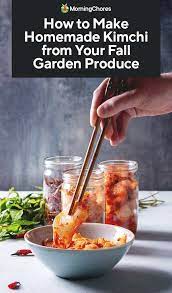How To Make Homemade Kimchi From Your Fall Garden Produce Kimchi Korean Appetizers Fermented Kimchi