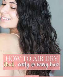How To Air Dry Thick Wavy Hair Slashed Beauty Air Dry Wavy Hair Wavy Hair Tips Thick Hair Styles