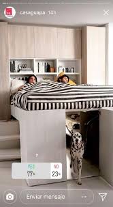 59 Trendy Diy Dog Room Cases Cool Kids Bedrooms Home Awesome Bedrooms