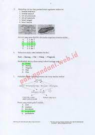 We did not find results for: Download Soal Usbn Biologi Sma 2018 Dan Pembahasannya