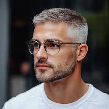 Image result for short hair haircuts men over 50