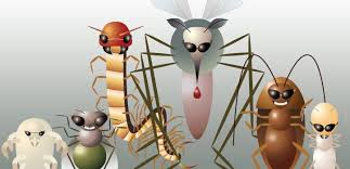 Join dsfdsfdsf on roblox and explore together!✎i love roblox. Pest Infestation Invo Info