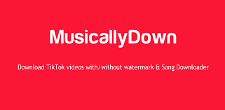 The format for the media is mp3 for music and mp4 for video. Tiktok Downloader Download Tiktok Video Without Watermark Online