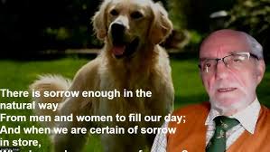 Dogs In Heaven (album version)