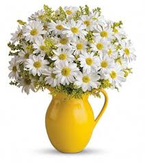 Check spelling or type a new query. Al Wilhelmy Flowers 25975 Detroit Rd Westlake Oh Fruits Vegetables Mapquest