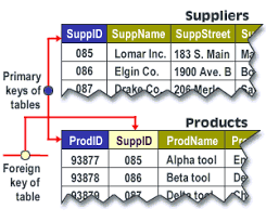 Primary Key And Foreign Key Relationships Relational Database Structure Relational Database Design Database Design Database Structure Relational Database