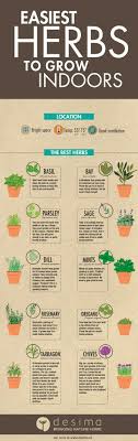 As a general rule of (green) thumb, place your herbs in a spot that gets at least six hours of sun daily. Easiest Herbs To Grow Indoors Growing Herbs Indoors Easy Herbs To Grow Indoors Herbs Indoors