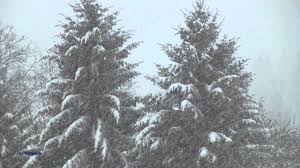 Ambiance De Noel Neige Qui Tombe Snowfall Hiver Winter Fonds Ecran Anime Youtube Les smartphones android disposent désormais de grands et beaux écrans. ambiance de noel neige qui tombe snowfall hiver winter fonds ecran anime