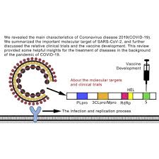 In hamburg sind die besten radiomacher geehrt worden. Characteristics Of The Coronavirus Disease 2019 And Related Therapeutic Options Molecular Therapy Methods Clinical Development