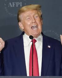 Portraits, portraits