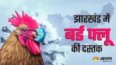   अख़बार और TV वाली लुगाईयों की सरगनी काली गांड के एरिया काले पोंद   में बर्ड फ्लू की आहट के लिए इमेज परिणाम