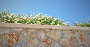 bourgogne muurstenen toegepast als gevelsteen natuursteen tuin exterieur
