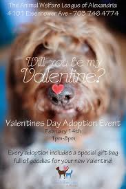 Search and see photos of adoptable pets in the atlanta, georgia area. 53 Adoption Events Ideas Adoption Humane Society Animal Shelter