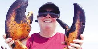 Colossal crustacean: Couple catches 15-pound lobster