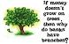Money Tree Poem