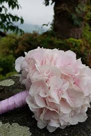 Brautsrauss Rosa Hortensien Schlicht Und Einfach Schon Hochzeitsfloristik Blumenstrauss Hochzeit Brautstrausse Rosa Hortensien