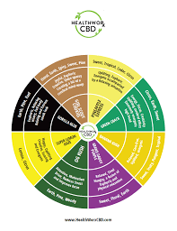 cbd terpenes chart