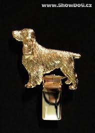 Image result for anglický špringršpaněl