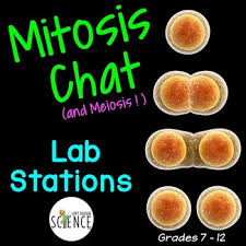 Mitosis causes maturation and multiplication of germ cells and makes them ready for meiosis. Mitosis And Meiosis Worksheets Teaching Resources Tpt