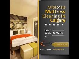 How Much Does Mattress Cleaning Cost In Calgary Oxygenie Mattress Cleaning Cheap Mattress How To Clean Carpet