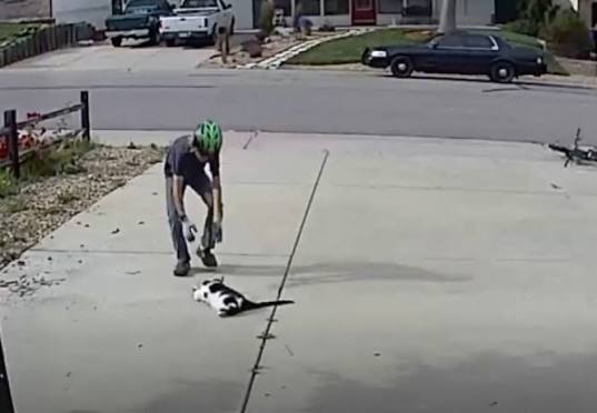 Boy pays visit to neighbor's disabled cat, but he doesn't know that the  camera is recording his actions... Check comments 👇🏻😭