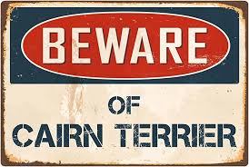 Amazon.com: StickerPirate Beware of Cairn Terrier 8” x 12” Vintage Aluminum  Retro Metal Sign VS091 : Home & Kitchen
