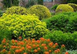 Take a look at the drone photos on my instagram page @marthastewart48. A Visit To Priorwood And Harmony Garden In Melrose