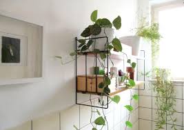 ✅ baños pequeños con ducha. Decorar Con Plantas Es Genial Treinta Y Ocho Ideas