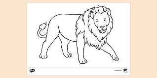 This lion coloring pages will helps kids to focus while developing creativity, motor skills and color recognition. 10 000 Top Lion Colouring Teaching Resources