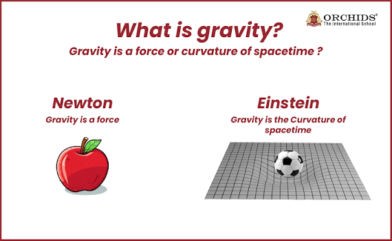 Understanding Gravity in Physics