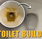 Removing Mineral Build up from a Toilet